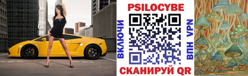 Галлюциногенные грибы GOLDEN TEACHER  ОМГ ОМГ как зайти  даркнет какой сайт  Алупка 